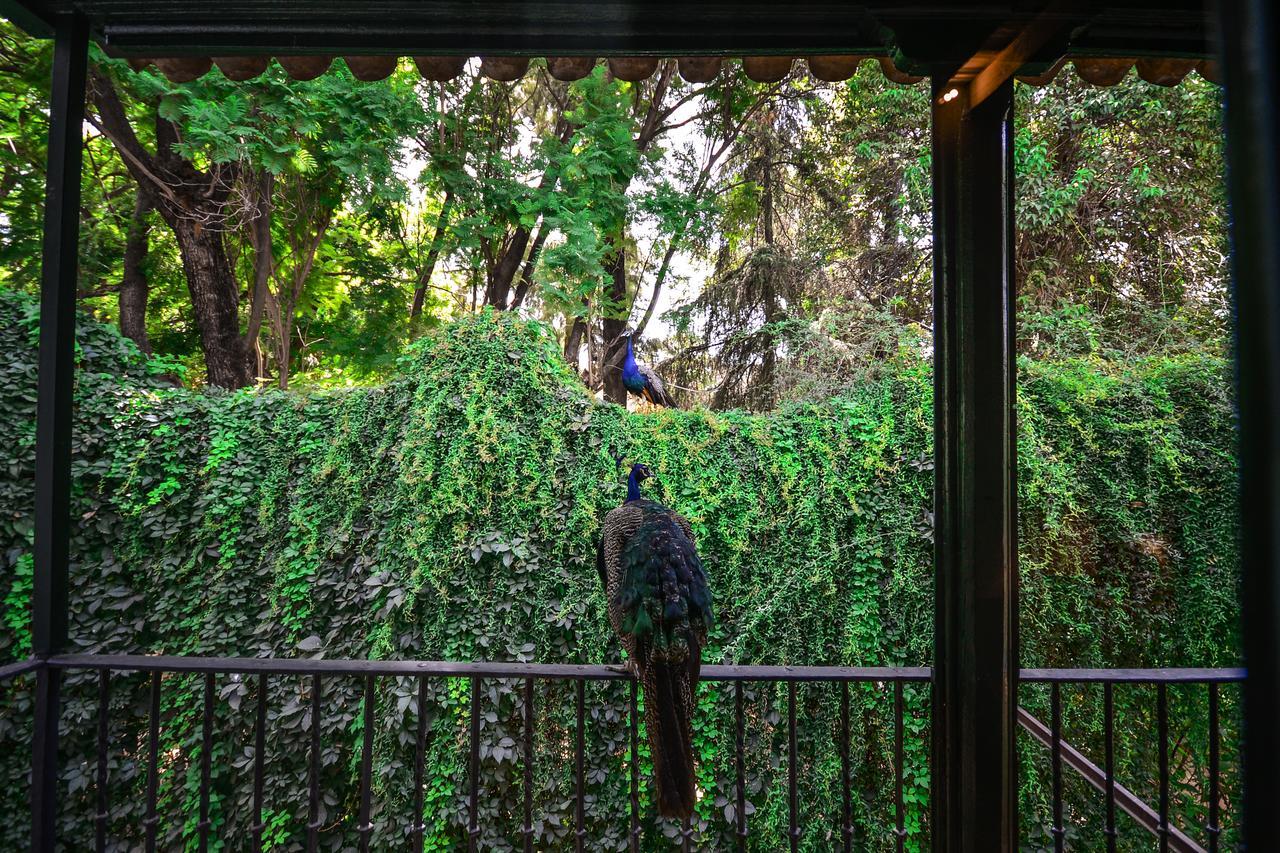 Hotel Legado Alcazar (adults Only)